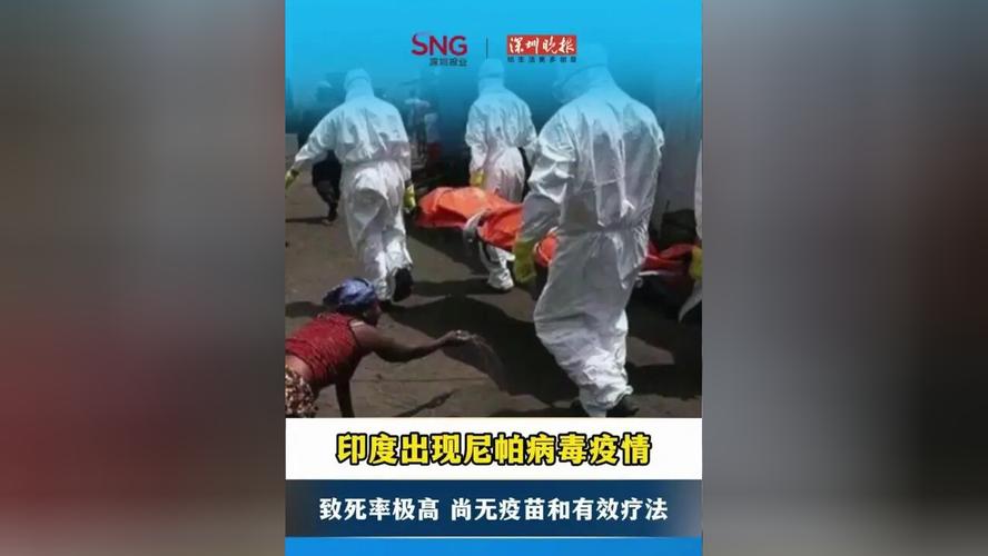 疫情_尼帕病毒 疫情 蝙蝠传播