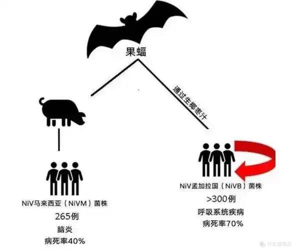 尼帕病毒 印度 确诊_疫情