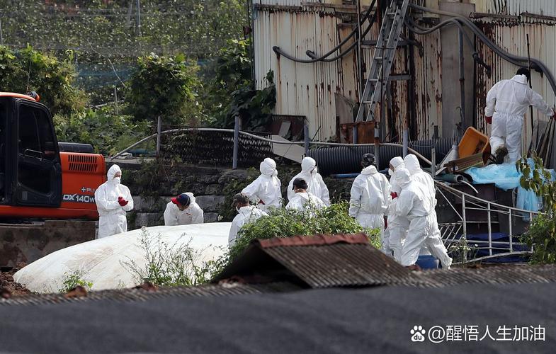 疫情_日本学校停课流感警报_日本流感疫情数据