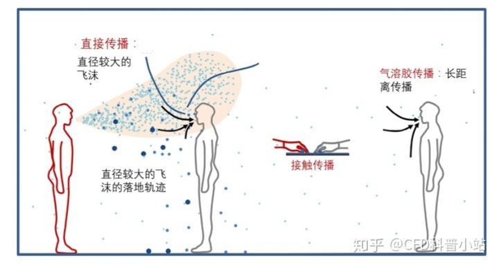 疫情_新冠病毒传播途径_个人防护措施